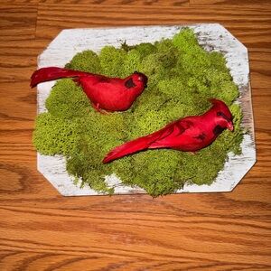 Decorative Red Cardinal Bird Display